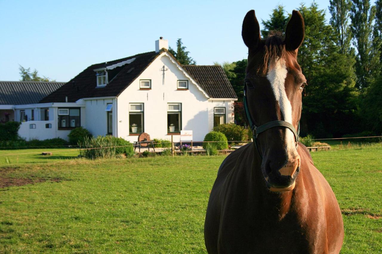 Locatie Het Knooppunt Engelse Chalet Nuis 외부 사진